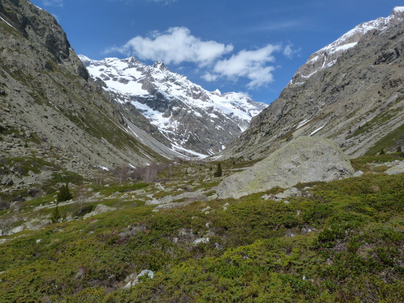 #15 Retour au printemps : Le vallon des Etançons Retour au printemps : Le vallon des Etançons