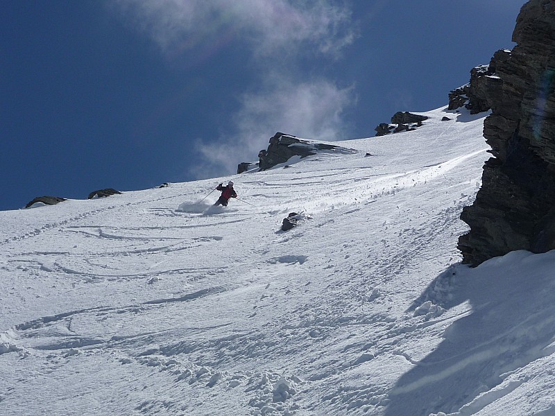 #10 Brâman du cerf Brâman du cerf