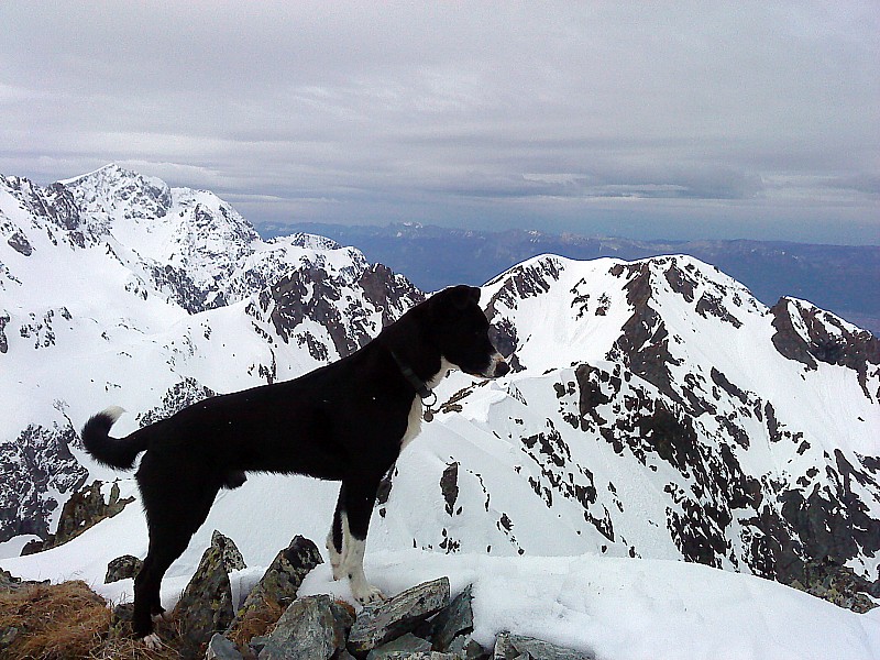 #3 Ferrouillet, couloir SW : Cherko devant le Grand Replomb Ferrouillet, couloir SW : Cherko devant le Grand Replomb