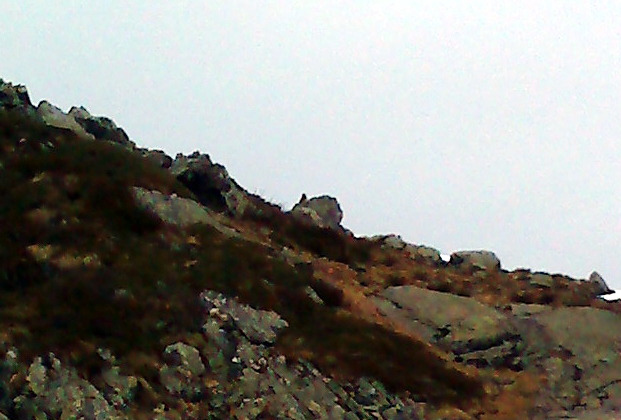 #8 Ferrouillet, couloir SW : les marmottes sont de sortie aujourd Ferrouillet, couloir SW : les marmottes sont de sortie aujourd'hui