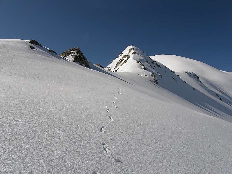 #1 Crête vers le haut des Parias : Neige portante, il est à peine 10H. Crête vers le haut des Parias : Neige portante, il est à peine 10H.