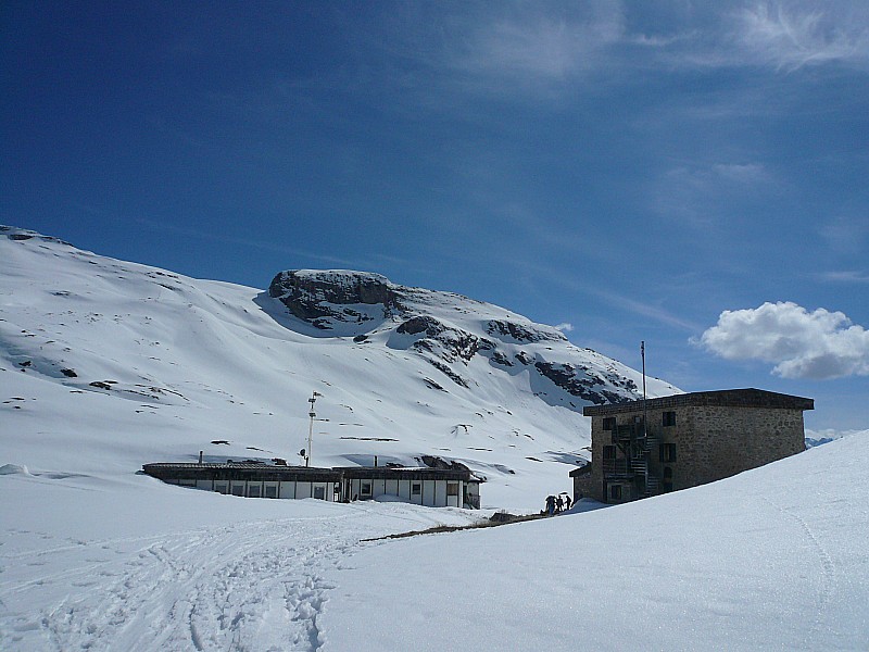 #6 refuge refuge
