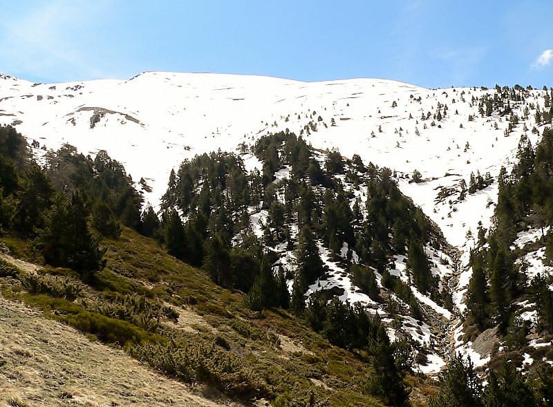 #5 Puigmal de Segre : terminé ! Puigmal de Segre : terminé !