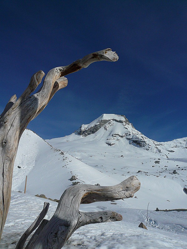 #17 Ciarforon (3641 m) Ciarforon (3641 m)