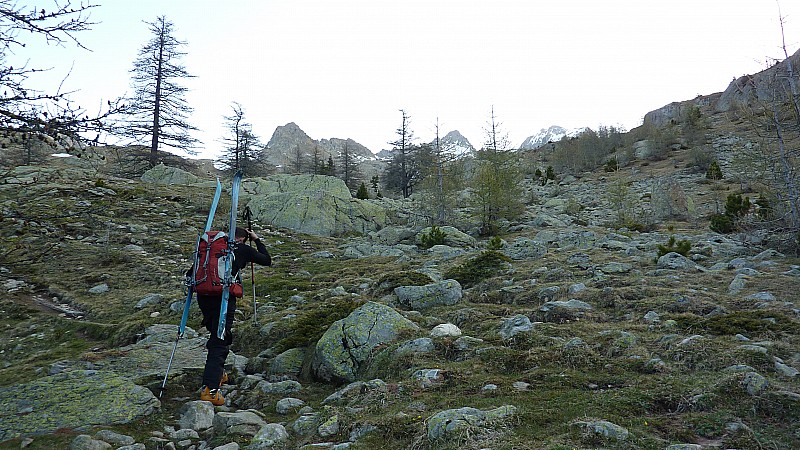 #1 Portage : Bah, où qu Portage : Bah, où qu'elle est la neige?!