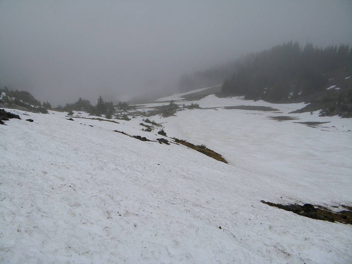 Combe de Torchère : .... et il descend, on entrevoit tout en bas le dernier névé ( moyennant déchaussage )