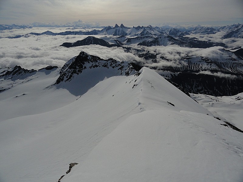 #11 Pic de l Pic de l'Etendard : Vue du sommet
