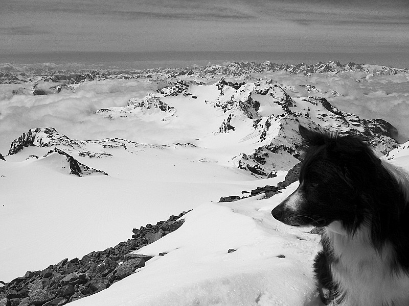 #7 3561m : Son record d 3561m : Son record d'altitude