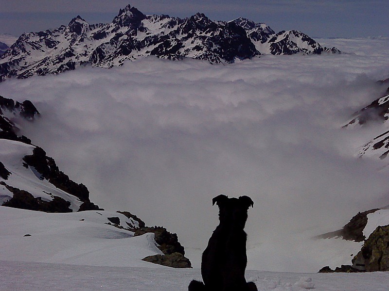 #10 Dent du Pra : les sommets de Belledonne qui émerge Dent du Pra : les sommets de Belledonne qui émerge