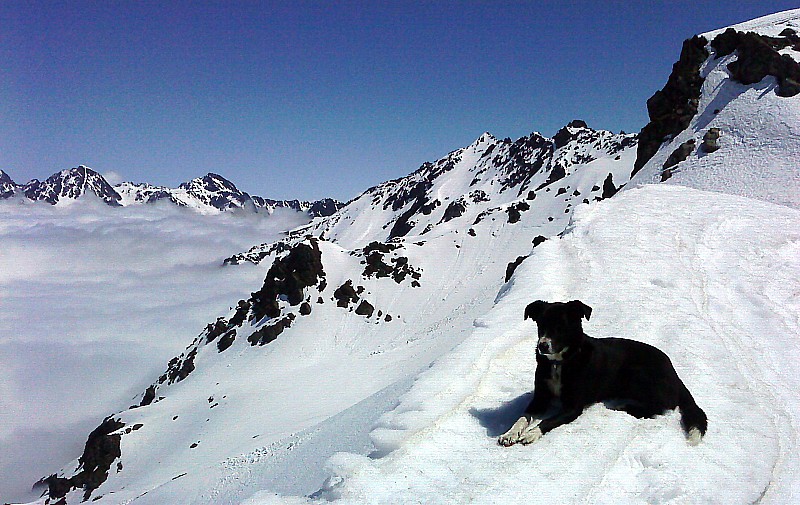 #11 Dent du Pra : on est pas bien ici Dent du Pra : on est pas bien ici