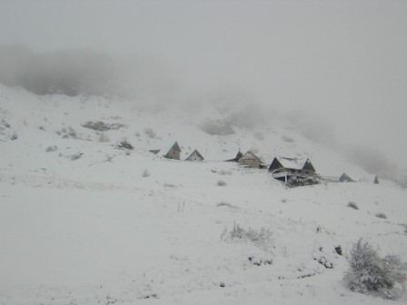 #1 Hameau Forest des Estaris : De la neige mais pas de soleil Hameau Forest des Estaris : De la neige mais pas de soleil