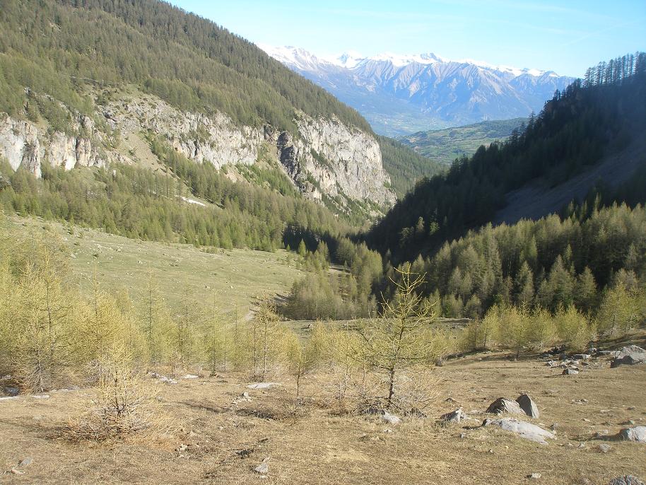 #9 sous 1900m : sec !il y a 10 jours on chaussait 120m plus bas! sous 1900m : sec !il y a 10 jours on chaussait 120m plus bas!