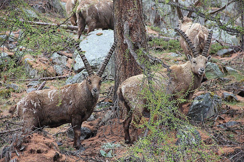 #29 Gardiens lieux : Passe ton chemin sinon... Gardiens lieux : Passe ton chemin sinon...