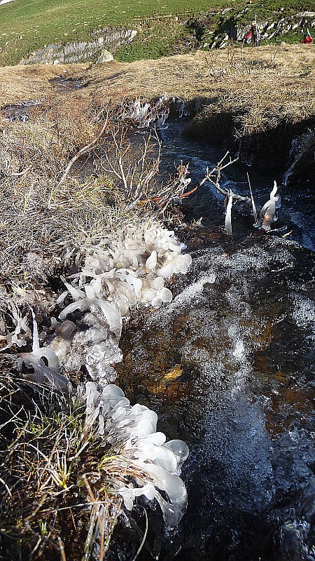 #2 Le gel : La nuit a été froide. Le gel : La nuit a été froide.