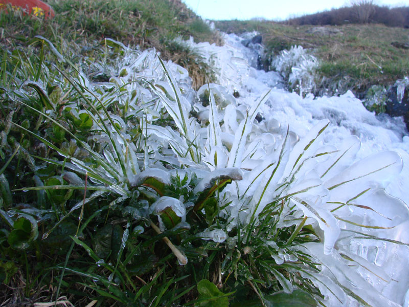 #1 Nature de glace Nature de glace