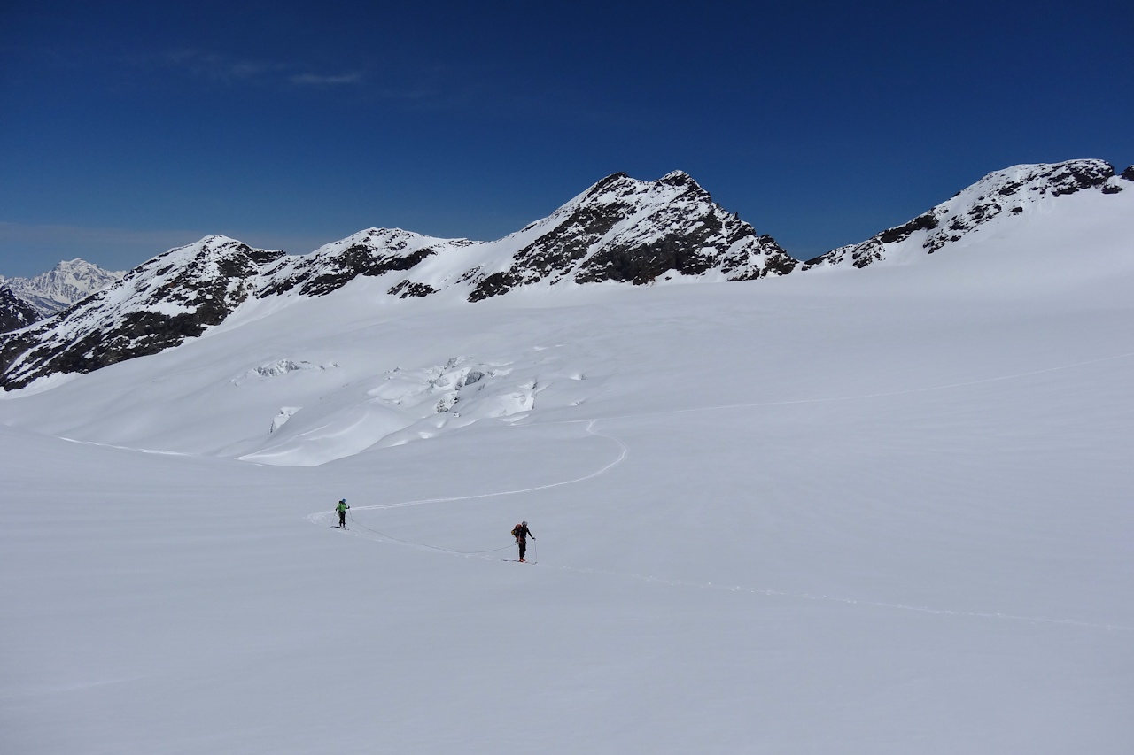 #32 Haut du glacier : Peu avant le col des Vedettes Haut du glacier : Peu avant le col des Vedettes
