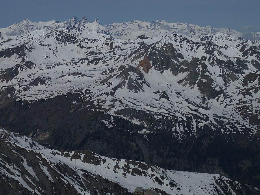 #5 Belle Plinier : Sarrasin Gruppe. Grandes rousses et Arves. Belle Plinier : Sarrasin Gruppe. Grandes rousses et Arves.