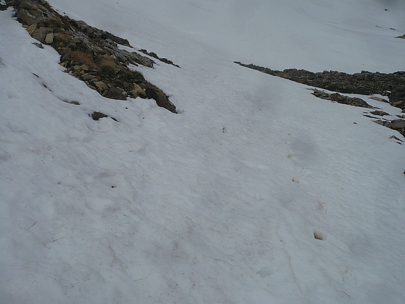 #6 col des verts : pente sous le col col des verts : pente sous le col