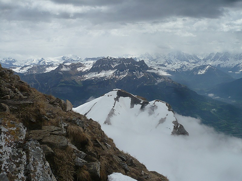 #5 col des verts : les 4 têtes col des verts : les 4 têtes
