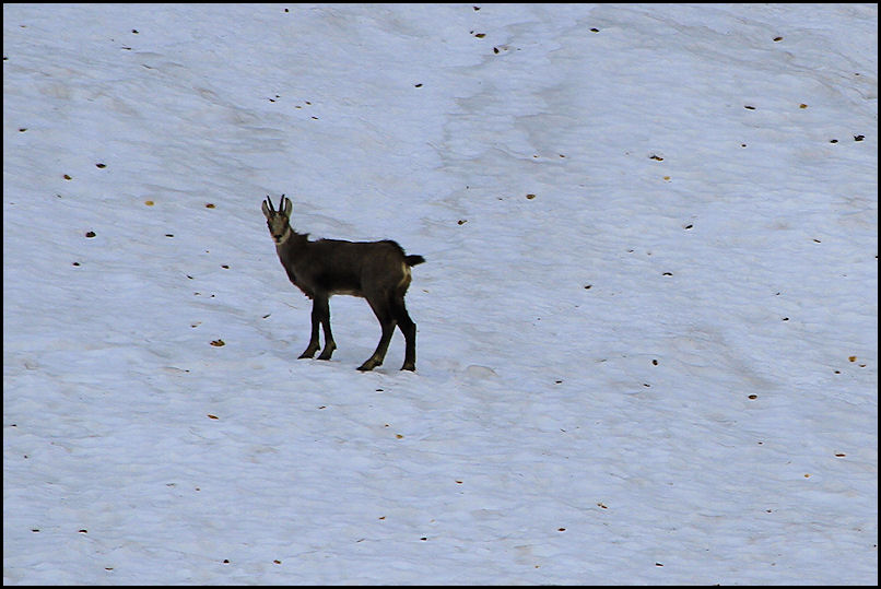 #2 rencontre matinale : un peu maigre à cette saison rencontre matinale : un peu maigre à cette saison