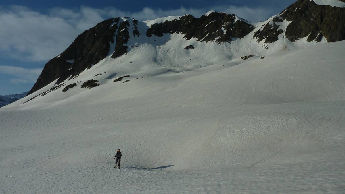 #8 Désert blanc : pas un chat dans le secteur Désert blanc : pas un chat dans le secteur
