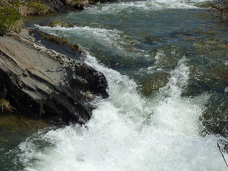 #17 Eau d Eau d'Olle : La vie
