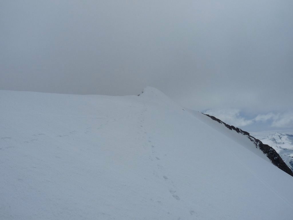 #7 Summit Summit