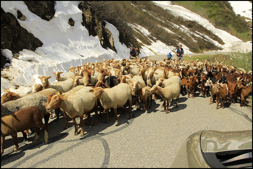 #13 rencontre au retour : sous le col du glandon rencontre au retour : sous le col du glandon