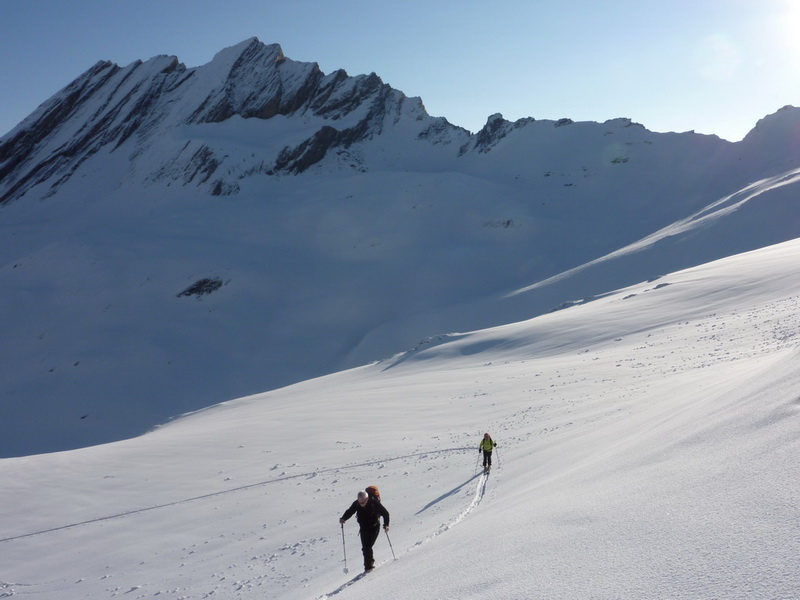 #2 Taillante : Depuis la montée vers le collet Taillante : Depuis la montée vers le collet
