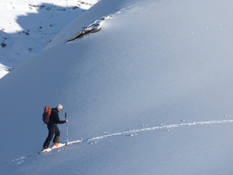 #4 Arrivée au Collet : ......en longeant la trace d Arrivée au Collet : ......en longeant la trace d'un lièvre
