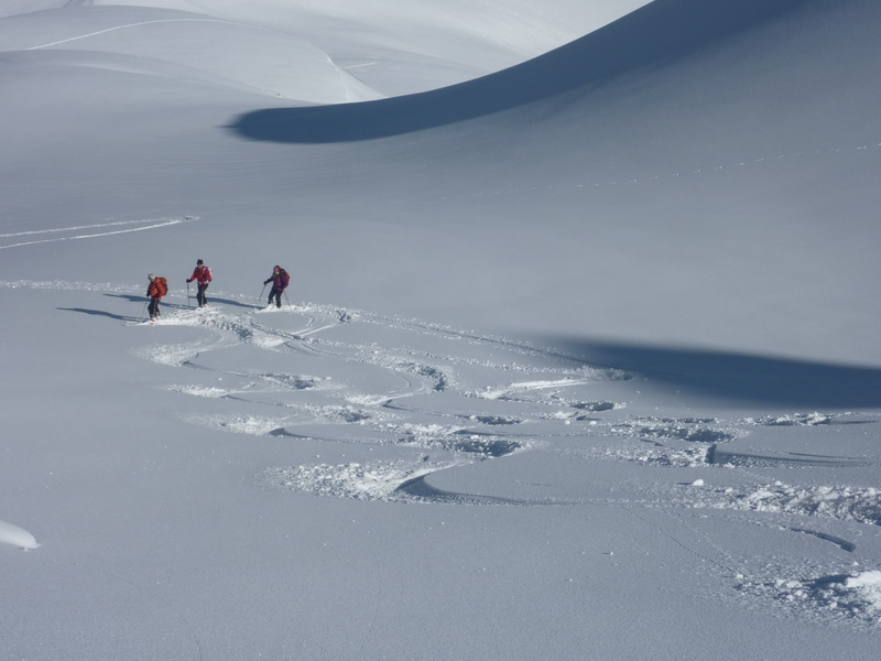 #11 Descente : Bonne poudre, jolies courbes Descente : Bonne poudre, jolies courbes