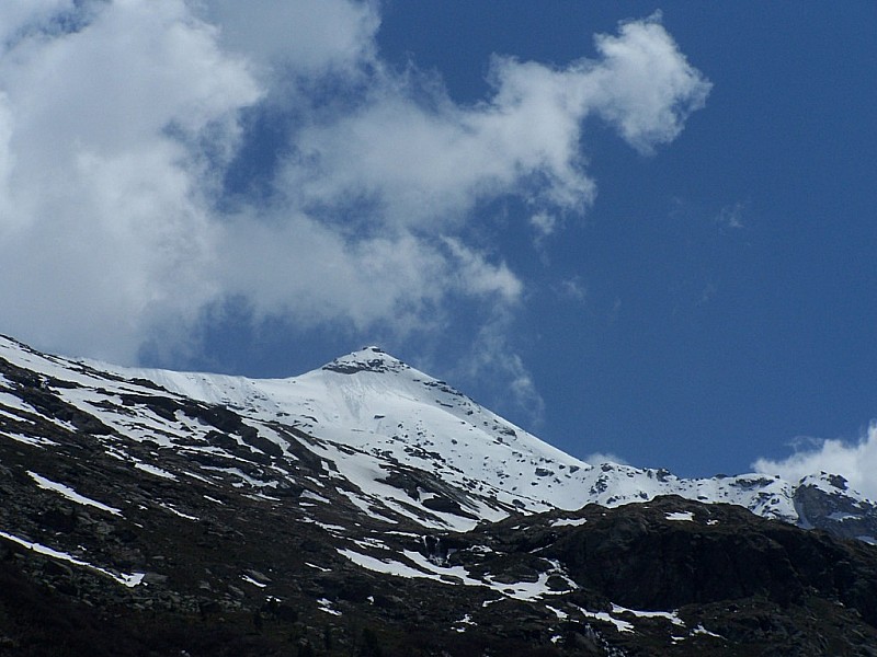 #1 Petit Vallon : Face Nord su Mont d Petit Vallon : Face Nord su Mont d'Ambin, pourquoi pas demain....