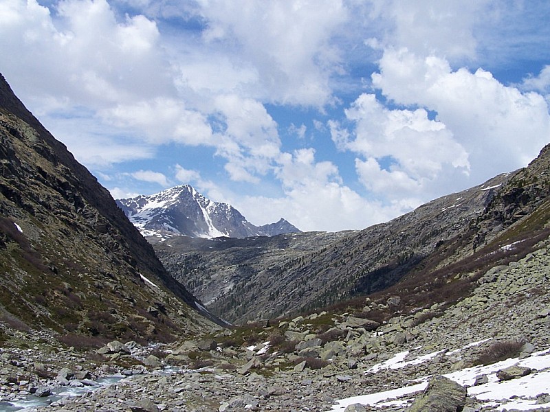 #2 Petit Vallon : Le Petit Mont Cenis, vu du vallon d Petit Vallon : Le Petit Mont Cenis, vu du vallon d'Ambin.