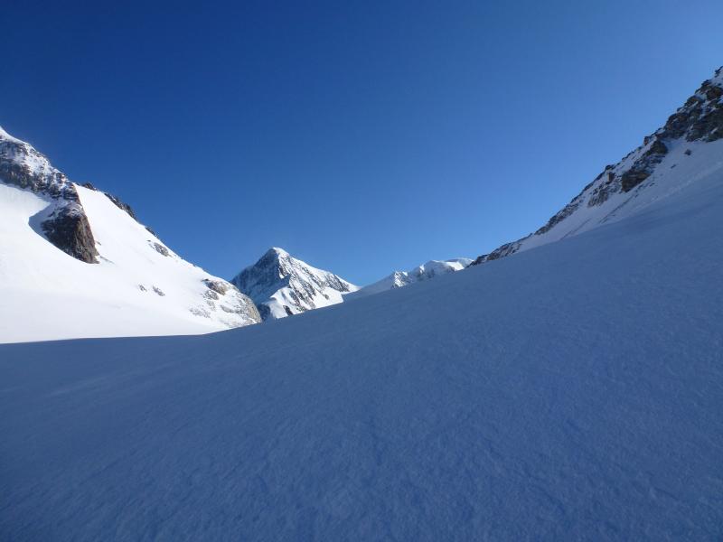 #7 Tête Carré : Non loin du Col Infranchissable, l Tête Carré : Non loin du Col Infranchissable, l'aiguille de Bionnassay pointe son nez
