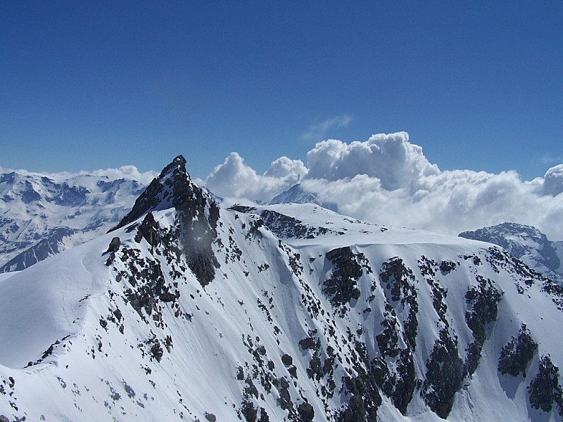Mont de Gébroulaz : Aiguille et dôme de Polset, les dômes de la Vanoise et la Parachée vus depuis le Mont Gébroulaz