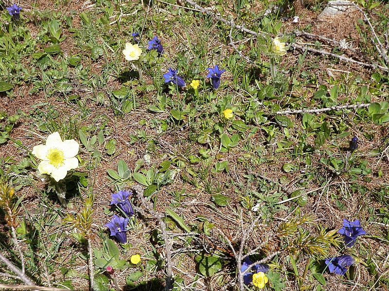 #30 merci pour ces couleurs : abondance merci pour ces couleurs : abondance