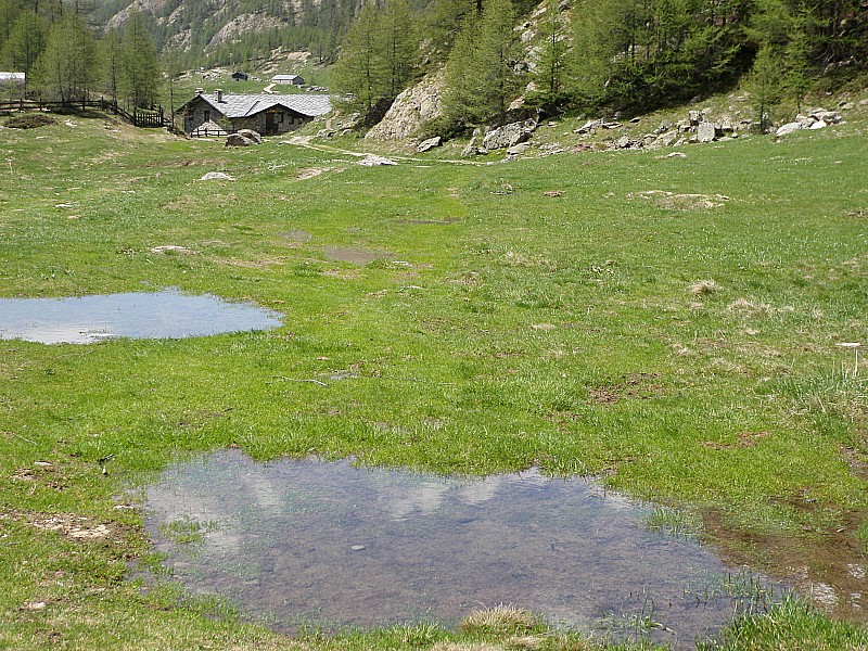 #32 très bon accueil : refuge de Prarayer très bon accueil : refuge de Prarayer