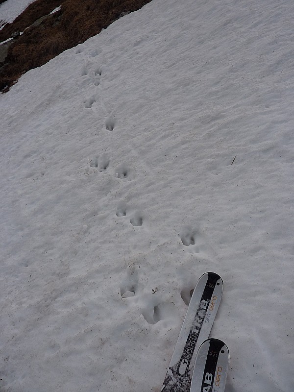 #2 Combe : Seule trace ce jour Combe : Seule trace ce jour