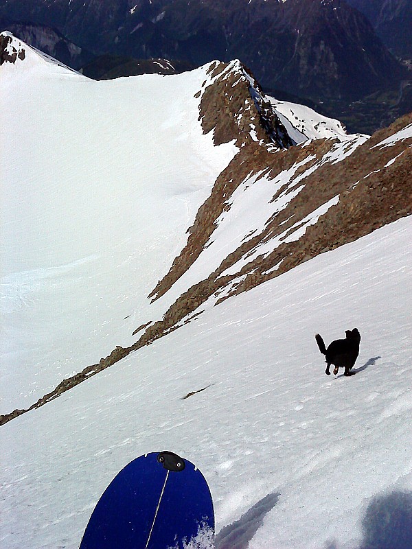 #8 Pic Bayle : Cherko à fond dans la descente Pic Bayle : Cherko à fond dans la descente
