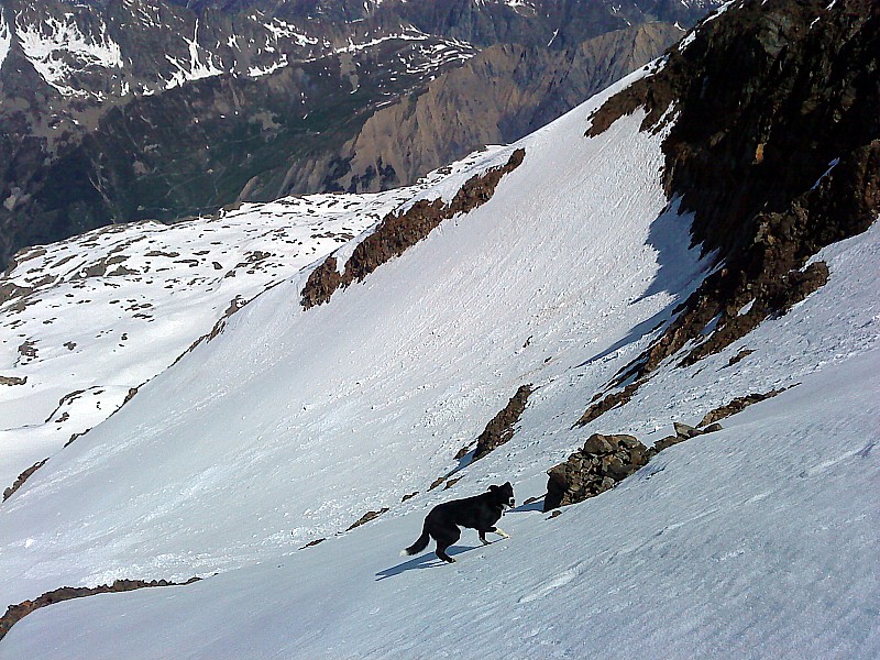 #9 Pic Bayle : pente gelé du col de la Pyramide, au fond l Pic Bayle : pente gelé du col de la Pyramide, au fond l'épaule qui va sauver la descente