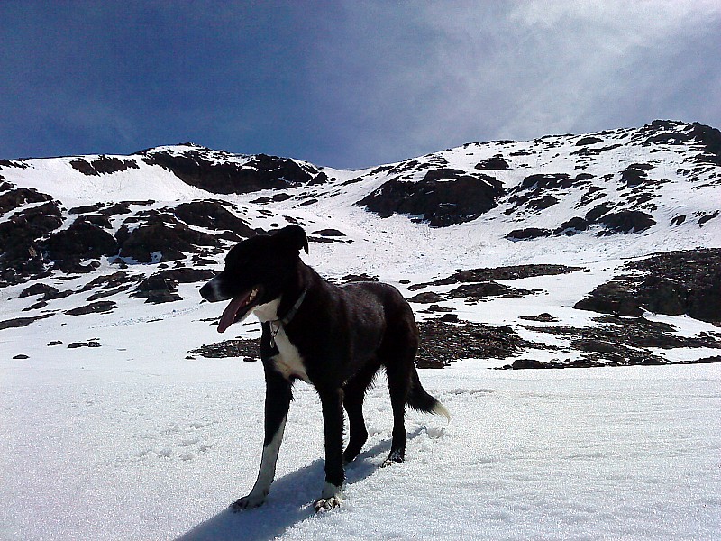 #11 Pic Bayle : l Pic Bayle : l'itinéraire depuis le bas