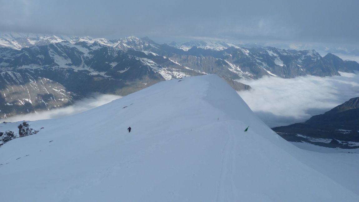 Crête de Schiena d'Asino : Séparant le Glacier du Grand Paradis du Glacier de Laveciau