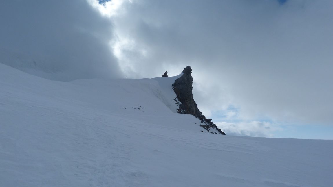 #29 Plafond nuageux : A l Plafond nuageux : A l'approche des deux canines, le froid devient mordant