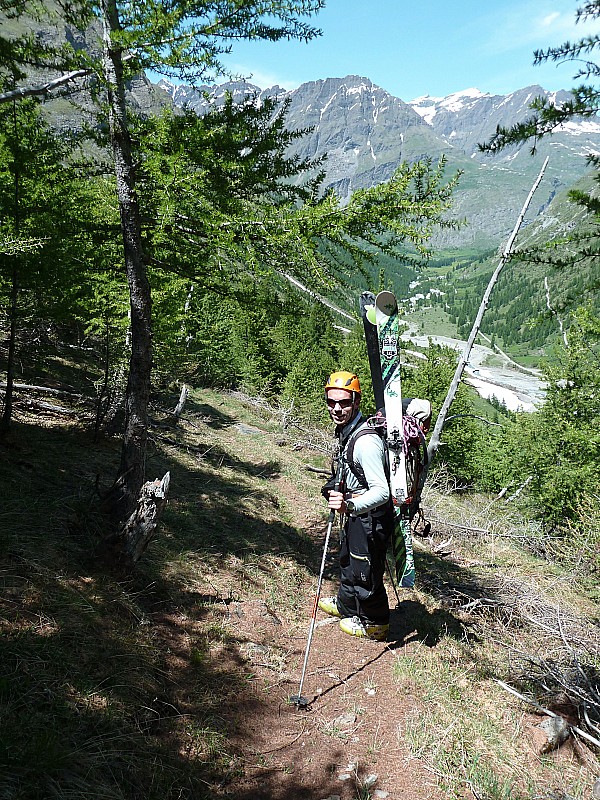 #1 Descente dans les mélèzes : : dernière de l Descente dans les mélèzes : : dernière de l'année ? pas sûr...