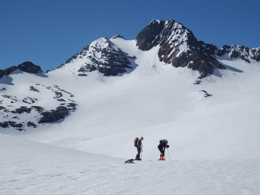 #6 Glacier de st Sorlin : Le grand sauvage en arrière plan Glacier de st Sorlin : Le grand sauvage en arrière plan