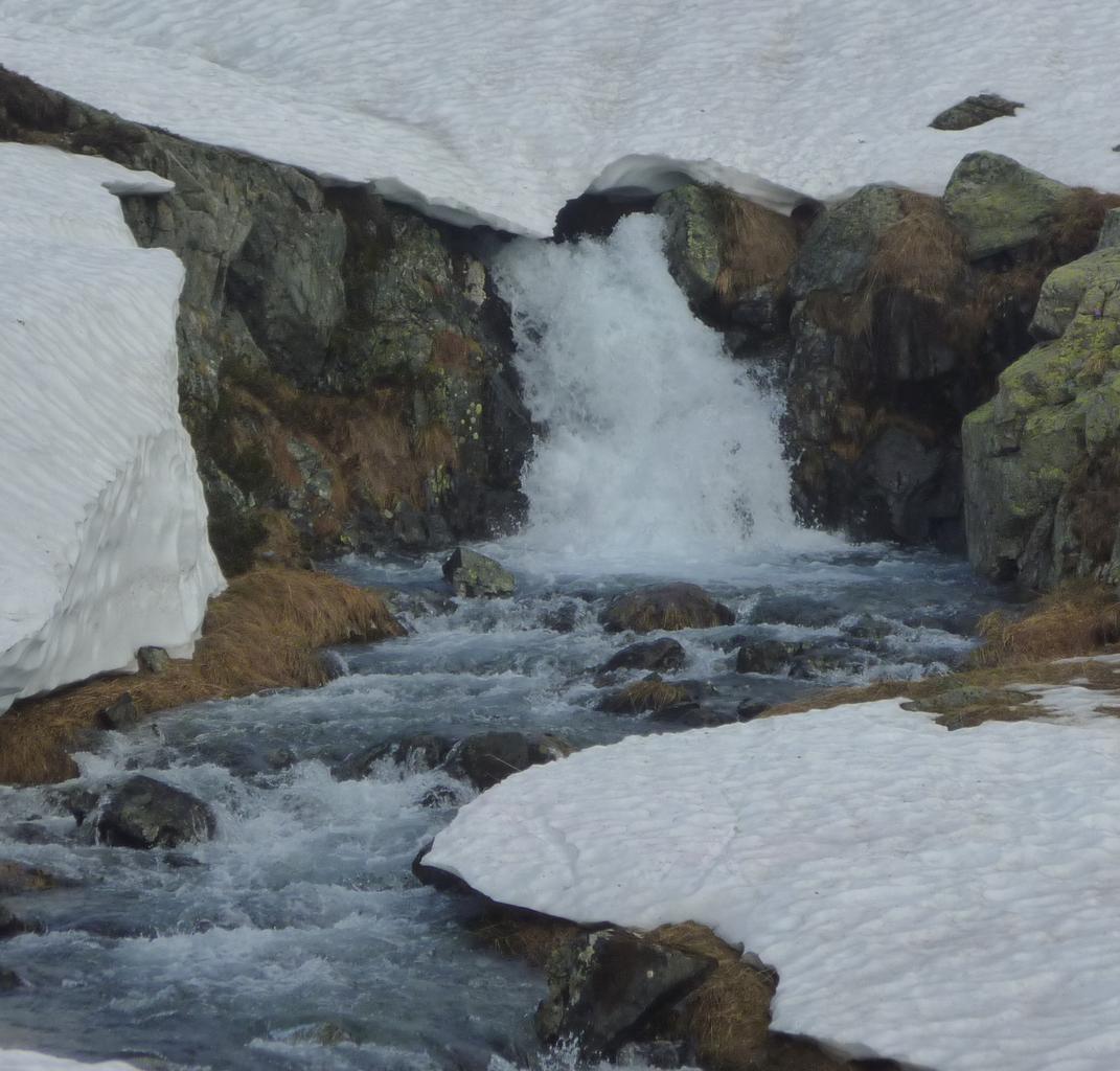 #3 Le torrent : Le torrent sort le nez de la neige Le torrent : Le torrent sort le nez de la neige
