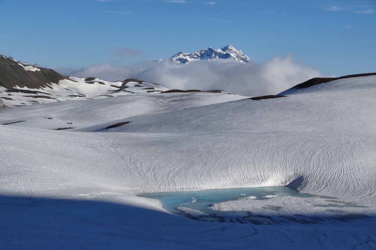 Le Mont Pourri (3779 m) : Depuis le plateau au pied de la face Nord.