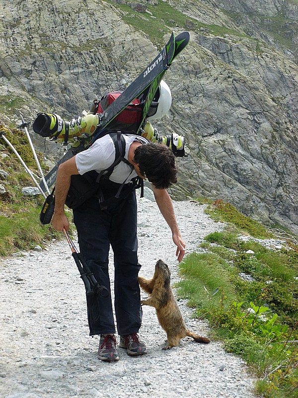 #26 Marmotte : A défaut d Marmotte : A défaut d'avoir skié Barre Noire, Clément s'entraine au dressage de marmottes...