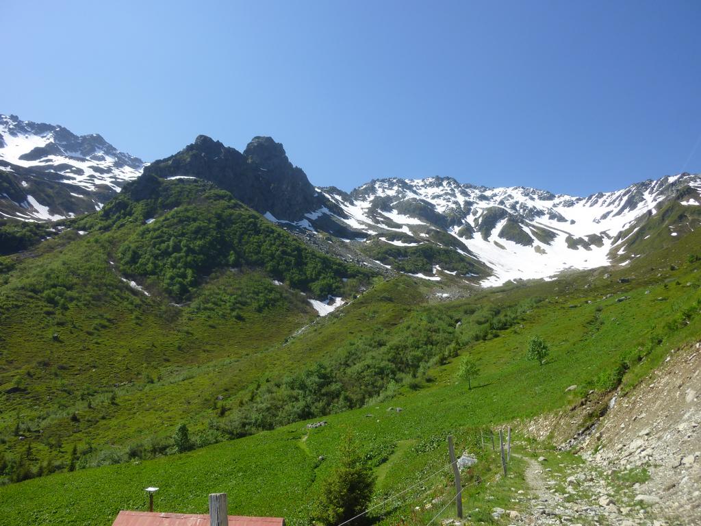 #3 le vallon : on rentre le vallon : on rentre