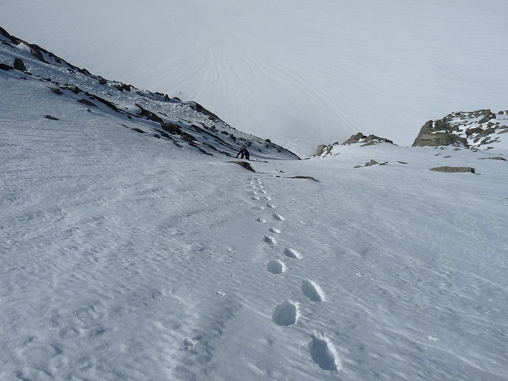 #6 Trace sur croute Trace sur croute